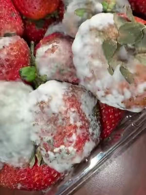 How to make fruit last longer in the fridge #kitchen #KitchenHacks #kitchengadgets 
