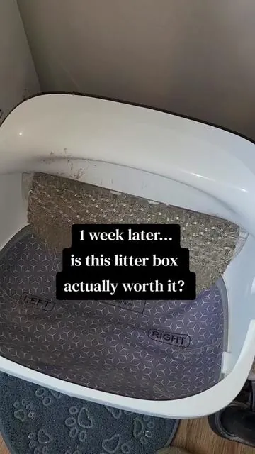 Finding a litter box that's not only easy to clean but helps with odor control is a huge win for me!! It definitely makes having a cat so easy 😌🐈‍⬛ #selfcleaninglitterbox #lesurepet #automaticlitterbox #cats #catproducts 