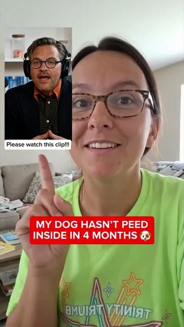 My dog hasn’t peed inside in 4 months……WATCH TO THE END AND LISTEN CAREFULLY TO KNOW MORE!!!