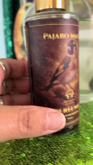 Muchos conocen el nombre, pero poco saben de dónde viene realmente el pájaro Macuá en este video te explico su historia y por qué ha sido tan mencionado durante generaciones. Ahora también está disponible en mi TikTok Shop#pajaromacua #perfume #feromonas #protection #sanjudastadeo💚 @BotanicaAlafia 