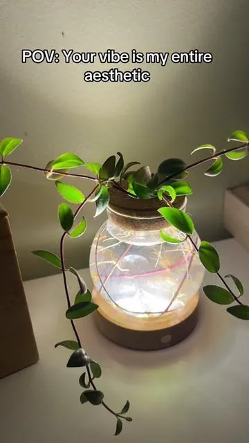 Plant lovers!! This propagation station is the perfect addition to your home! #tiktokshopdealsforyoudays #dealsforyoudays #plantpropagation #vase #plants 