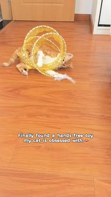 #cat #petlovers  #cattoys #SummerVibes #DealsForYouDays