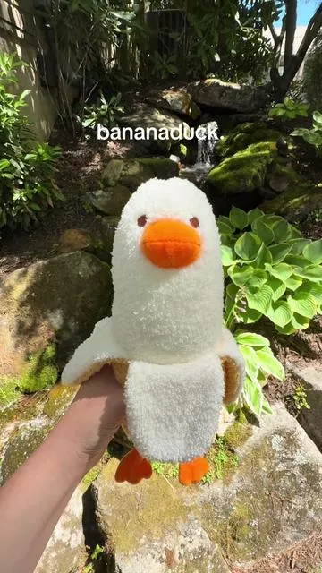 I really like him.  #bananaduck #summervibes #dealsforyoudays 