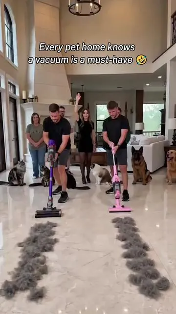 Pet owners know the floors need a quick vacuum every day #cordlessvacuum #vacuumcleaner #carpetcleaning #vacuum #fyp 