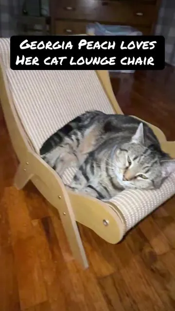 Georgia Peach has been living this chair for a year! It continues to be a favorite lounging spot! If you have cats they will be crazy for this chair #catscratcher #catlounge #catmom #SummerVibes #dealsforyoudays 