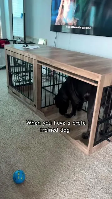 We didn’t think he would like it or he would fit 💁🏽‍♀️🐕‍🦺  Bane has a new inside home (dog crate)  This looks so much better 🤗 #dogcrate #dogfurniture #dogkennel #dealsforyoudays #dogsupplies 