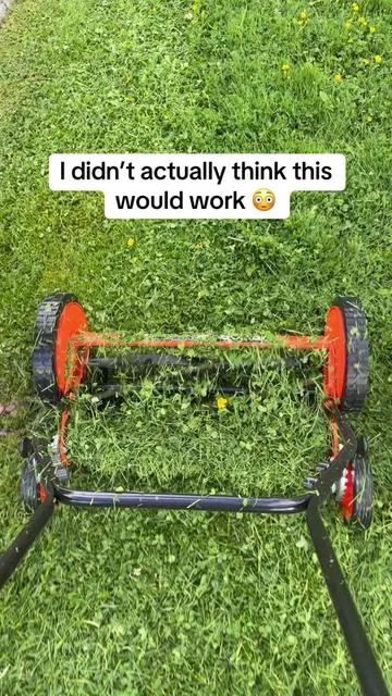 Manual push lawn mower ✨☀️🪴 #lawnmower #pushlawnmower #grasscutting #yardwork #landscaping 