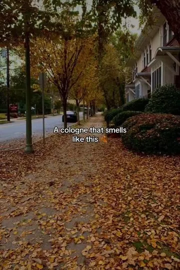This might be the best fall cologne for men #cologne #fall #autumn #fallvibes #colognetiktok 