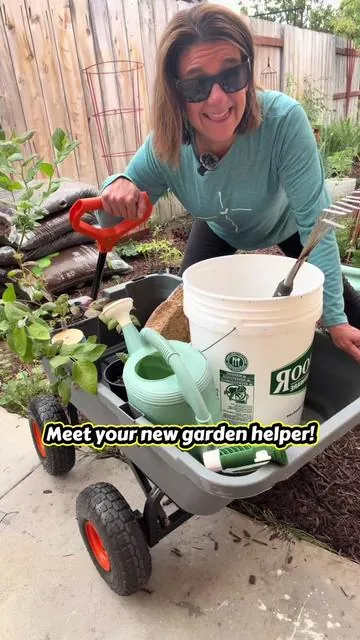 Heavy loads are no match for this garden dump cart! 🌿 Whether you’re hauling soil, mulch, plants, firewood, or garden tools, this sturdy cart makes outdoor projects easier. The durable poly bed, rugged all-terrain tires, and quick-release dump feature help you move more with less effort. A must-have tool for gardeners, homeowners, and anyone tackling yard work. #creatorsearchinsights #SummerVibes #dealsforyoudays #fathersdaygift #weeklydeals  garden cart, dump cart, garden dump cart, utility cart, yard cart, lawn and garden tools, hauling cart, heavy duty garden cart, poly dump cart, landscaping tools, gardening essentials, mulch cart, soil cart, outdoor equipment, yard work made easy, garden tools, all terrain cart, wheelbarrow alternative, gardening hacks, backyard projects, homestead tools, TikTok shop finds, garden supplies, outdoor living, gardening must haves, yard maintenance, landscaping equipment, garden organization, home and garden products, outdoor chores simplified