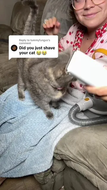 Replying to @tummyfungus #tiktokshopmademebuyit #dealsforyoudays #petgrooming #catmom #catsoftiktok 