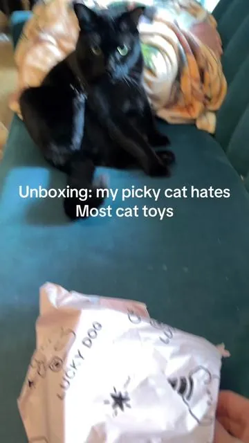 Unboxing: Pawsible 5 Pack Cactus Cat Toy 100% premium cat nip filling #cattok #cattoys #unboxing #catsoftiktok #cats 