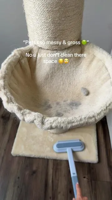 It’s not the pets it’s the owners! Daily cleanup is important so your pets stay happy🥺 #petsoftiktok #catmom #sheddingseason #petfur #pethairremoverbrush 