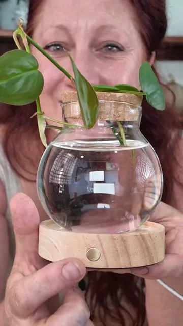 Plant Propagation Station with Wooden Saucer, Glass Terrarium with Stepless Dimming Function Glass Container. #dealsforyoudays 