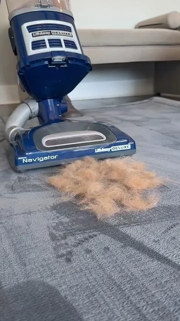 The way it DEEP cleans my carpets! #sharkvacuum #vacuum #vacuumcleaner #tiktokshopcreatorpicks *prices and discounts are subject to change and accurate based on the time of posting, sale ends today 