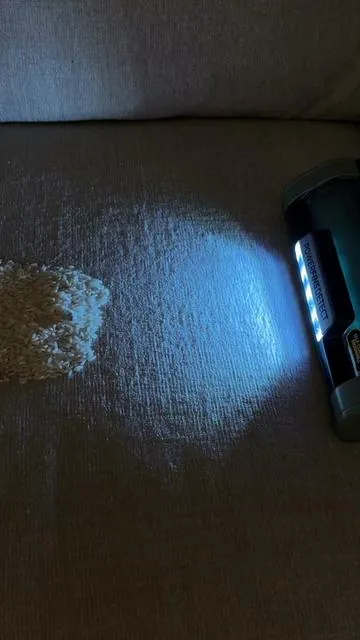 A vacuum with its own gravitational pull?? ‼️ #shark #sharkdetectultralight #vacuum #tiktokshopcreatorpicks #sharkvacuum 