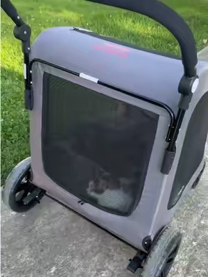 The biggest stroller to ever exist 😅😇 #cats #catsoftiktok #catlover #cattok #PetsOfTikTok 