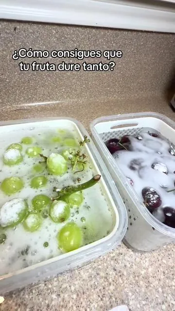 No me di cuenta cuánto me ayudaban estos contenedores hasta que empecé a usarlos en el refri  La fruta y los vegetales se ven más organizados, más fáciles de encontrar y me encanta que no quedan pegados al agua 👀 Yo solo los lavo, los guardo aquí y listo 🍓 De esas cositas simples que sí ayudan muchísimo en la cocina 🏡✨ ✨ fruit and vegetable organizer ✨ produce containers for fridge ✨ refrigerator organizer ✨ berry storage container ✨ fruit storage containers ✨ vegetable organizer ✨ fridge organization ✨ kitchen organization ✨ produce keeper ✨ fresh fruit storage ✨ contenedores para fruta ✨ organización del refri ✨ organización de cocina ✨ cocina fácil para mamás ✨ kitchen must haves #tiktokshopcreatorpicks #producecontainers #fridgeorganization #kitchenorganization #momhacks