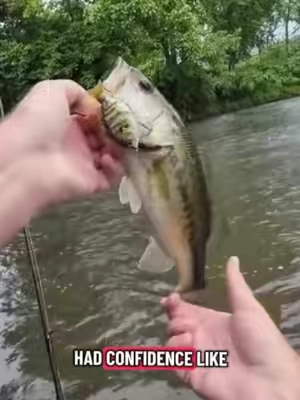 These things catch fish #fyp #creator #foryou  #viral #fishing 