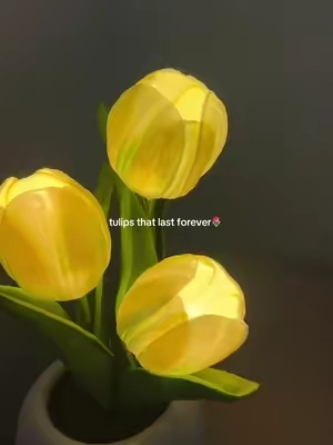 The cutest lamp for my room🌷 #foryou #tulips #flowers #art #lamp 