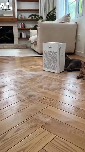 You bought an air purifier for pet hair. But what about smoke? Tolife does both.#airpurifier #summerwins #smoke #tiktokshopdealsforyoudays #cleanair 