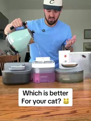 Which is the better purchase for your cat? 🐱 #Summervibes #dealsforyoudays #summerwins #tiktokshopmemorialday 