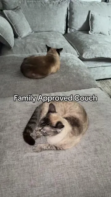 This couch converts to different styles due to the 2 ottomans @Ovios Furniture🇺🇸 #ovios #couch #furniture #livingroomideas #dealsforyoudays 