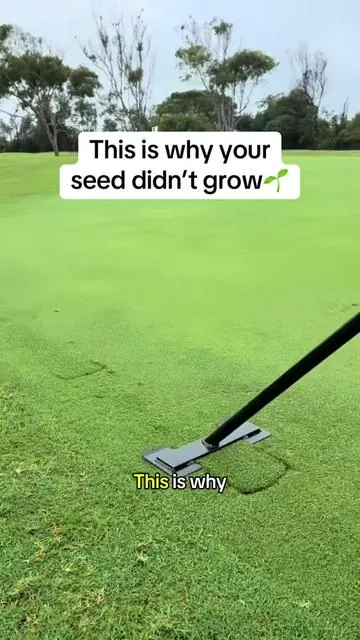 This is the one of the easiest lawn repair steps people skip⤵️#lawn #aeration #lawncare #rifpod #homeowner 