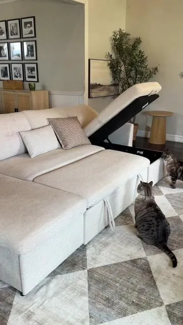 I like to joke that I hide my cats in the ottomans 😂 But this sleeper sofa actually has hidden storage, converts into a bed, and is perfect for guests, apartments, or anyone who needs extra space. #sleepersofa #homefinds #apartmentliving #dealsforyoudays #Summervibes 