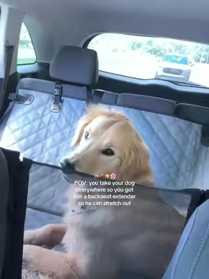 This backseat is definitely worth it so your dog isn’t cramped or sliding plus it keeps your car clean, it’s a win win @RUFF Liners #DealsForYouDays #SummerVibes #petlovers #dogtravel #tiktokshopcreatorpicks                Dog Travel Essentials Dog Car Seat Extender Road Trip With Dogs Dog Mom Must Haves Dog Travel Gear