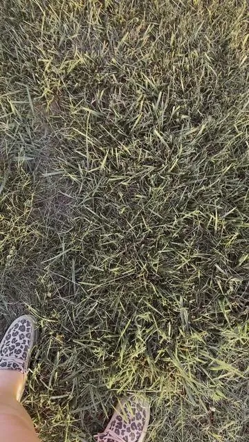 #supportsmallcreators #lawncare #dealsforyoudays 
