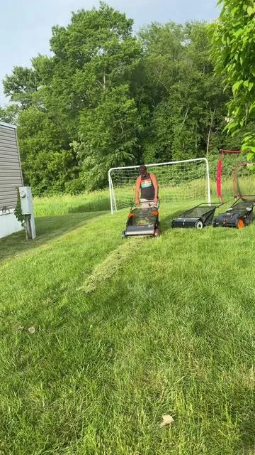 When he’s got to buy a million just to find the one he likes 🤦‍♂️  #lawnsweeper #vevorlawnsweeper #yardcleanup #vevorttshop #vevor @VEVOR Home Store 