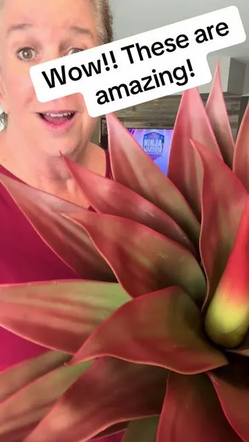 #tiktokshopcreatorpicks #tiktokshopsparkcreator #dealsforyoudays #fauxplants #fauxflowers 