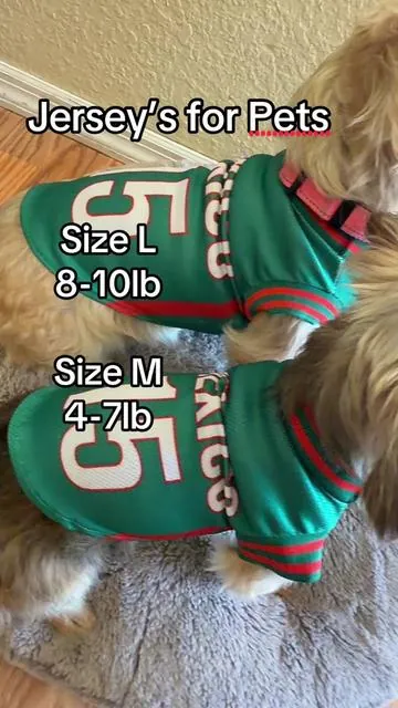 Jersey for pets #doglover #mexico🇲🇽 #yessyoliver 