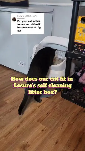 Replying to @w1ll0wbeezz  I hope this helps 😊 This litter box has been such a big help with odor control and minimal maintenance 👏🐈‍⬛ #selfcleaninglitterbox #automaticlitterbox #catessentials #dealsforyoudays 