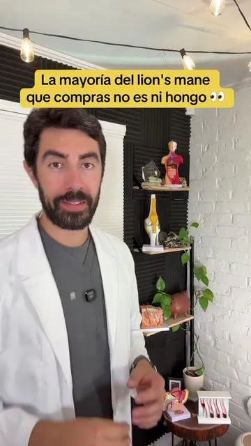 ¿Se te olvidan los nombres, entras a un cuarto sin saber a qué, sientes niebla mental? Te explico simple qué le pasa a tu cerebro y el papel del NGF, el "jardinero" de tus neuronas. Pero ojo: la mayoría del lion's mane que venden es micelio en grano = puro almidón. La clave para saber si es real son los beta-glucanos. Por eso uso Real Mushrooms Lion's Mane: 100% cuerpo del hongo, +30% de beta-glucanos verificados. Encuéntralo en el carrito 🛒 #LionsMane #HongosFuncionales #tiktokshopcreatorpicks #creatorsearchinsights #dealsforyoudays 