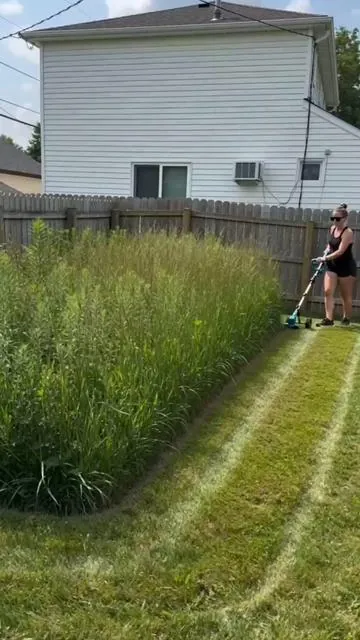 Seis ventajas principales del cortacésped portátil inalámbrico: para ser sincero, no tenía grandes expectativas sobre esta herramienta de jardinería inalámbrica, pero su rendimiento es impresionante.#yardrestoration#tool #garden 