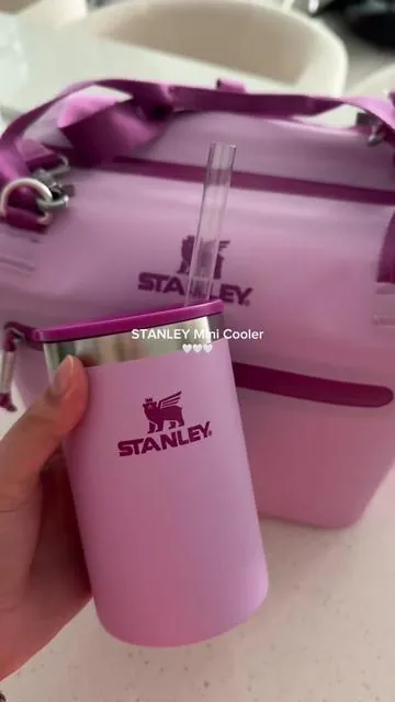 #DealsForYouDays #stanley #stanleycooler #minicooler #lunchbox 