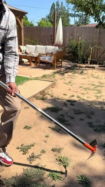 Azadón para la hierba limpia perfecto para quitar la maleza de atajo 