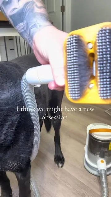 a brush that vacuums up hair 😱  + it’s quiet enough to not scare my sensitive boy 🤩  #doglover #doggrooming #doggroomingtips #dogbrush #dogtips 