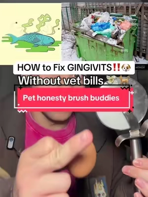 Pet honesty is the way! #pethonesty #pethonestypartner @Pet Honesty