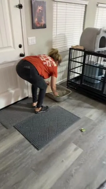 Este baño para gatitos es muy efectivo hay que actualisarce 