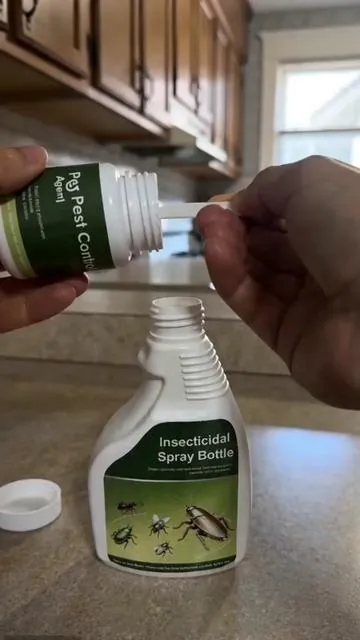 Don’t wait till your whole room gets infested.#cockroach #pestcontrol #tiktokshop #summervibe #pest 