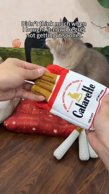 #catsoftiktok #DealsForYouDays #tiktokmademebuyit  #catlover #catnip 