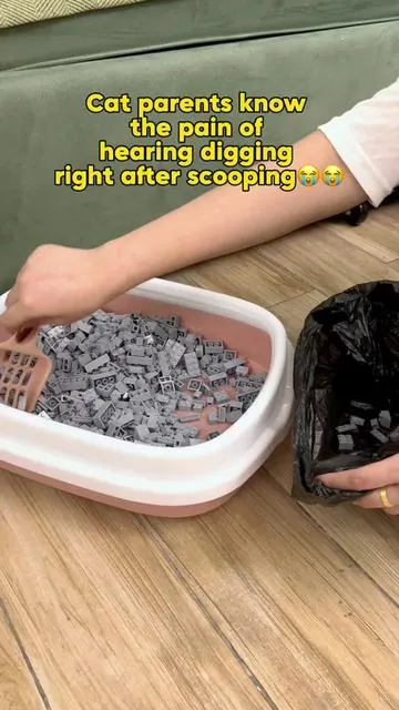 The clean litter box was gone before I could celebrate.#cat #catlitterbox #funnyvideo #dealsforyoudays #petpivot 