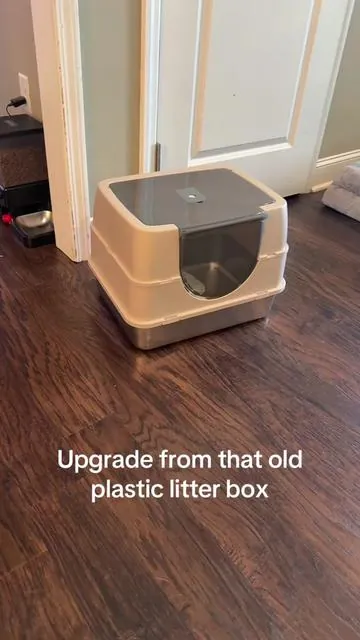 Stainless steel litter box for your kitties. #catsoftiktok #cat #catlover @QL-PET 