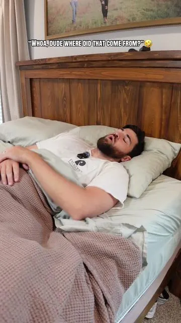 I knew I could help bro out🤣🙌 #tiktokshop #oscillatingfan #sleephack #bedroomfan 