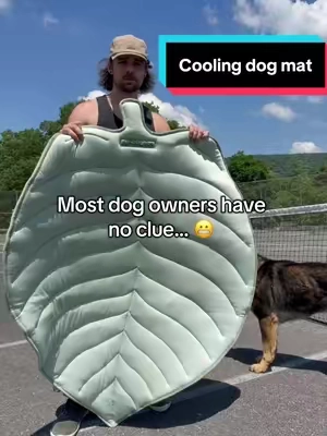 He’ll be on it all summer #dog #cooling 