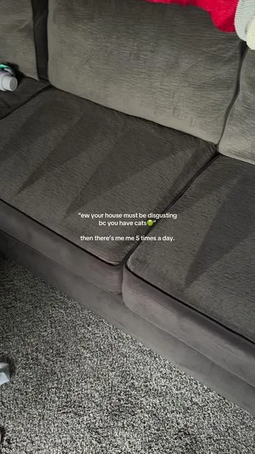with a toddler and 2 cats I’m constantly cleaning up after them… this thing pulls up fur I didn’t even know what on there 🤢 but one thing I do know is imma keep my house clean bc there’s no way I’m letting these cats take over my couch🫣 #furremoval #shedding #petsoftiktok #catmom #cleaningtok 