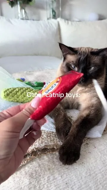 Literally no reason to buy cat toys from the grocery store. You get soo much catnip in theses, no fillers. #cattoy #catenrichment #catnip #TikTokShopDealsforYouDays #catessentials 