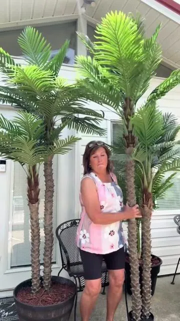 #palmtrees #tree #palms #outdoors #beautiful 